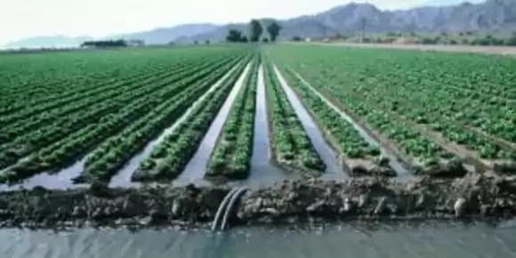 Riegos Azuer: Soluciones efectivas en maquinaria agrícola e irrigación Riegos Azuer: Soluciones efectivas en maquinaria agrícola e irrigación