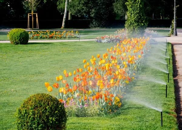 Soluciones de riego Hunter: eficiencia y calidad para tu jardín