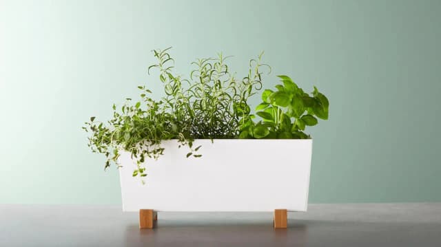 Macetas decorativas que transformarán tu hogar y jardín con estilo Macetas decorativas que transformarán tu hogar y jardín con estilo